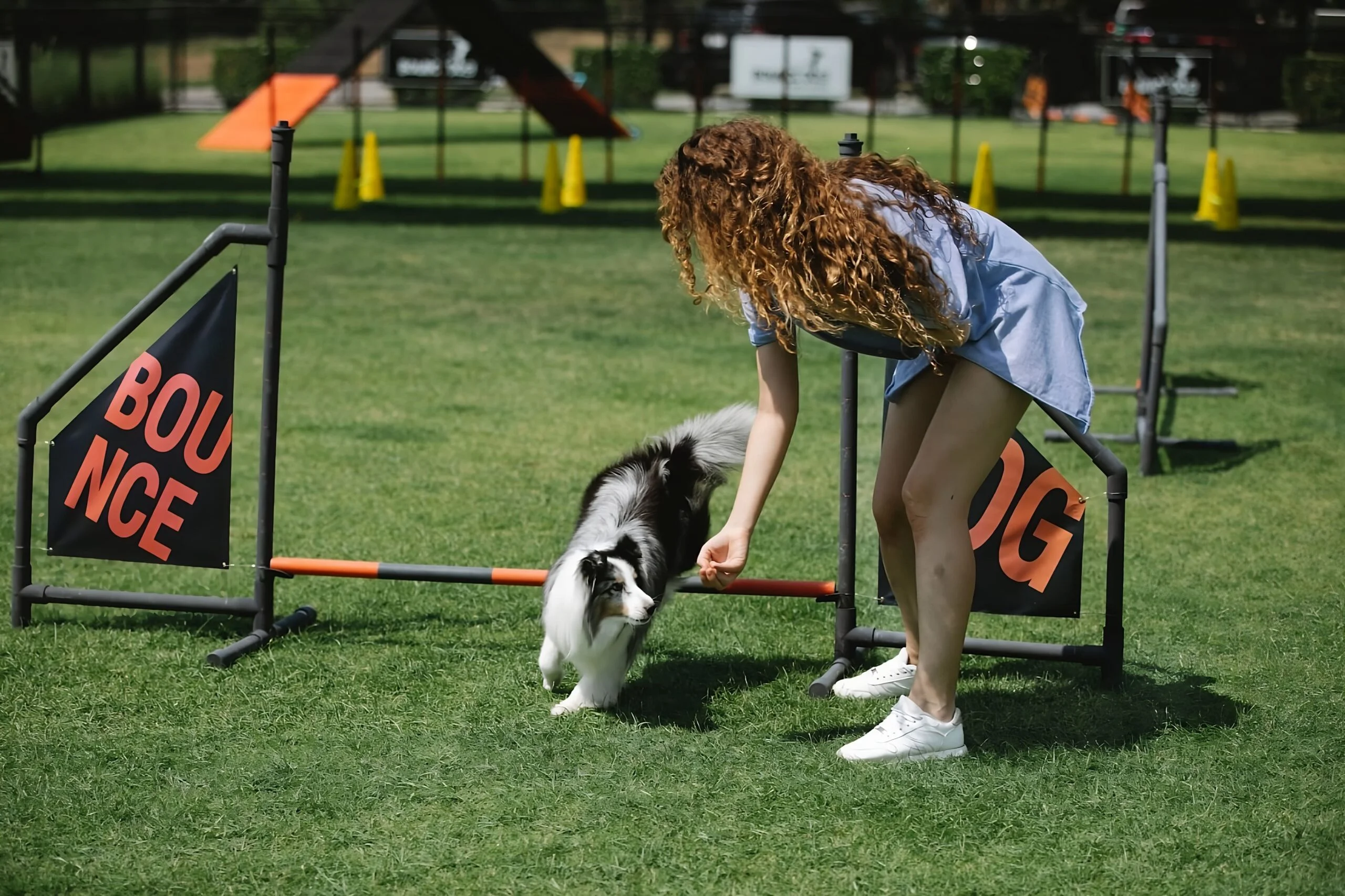 Woman training her dog in a park.