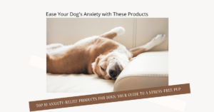 Relaxed dog lying in bed depicting the effectiveness of anxiety-relief products